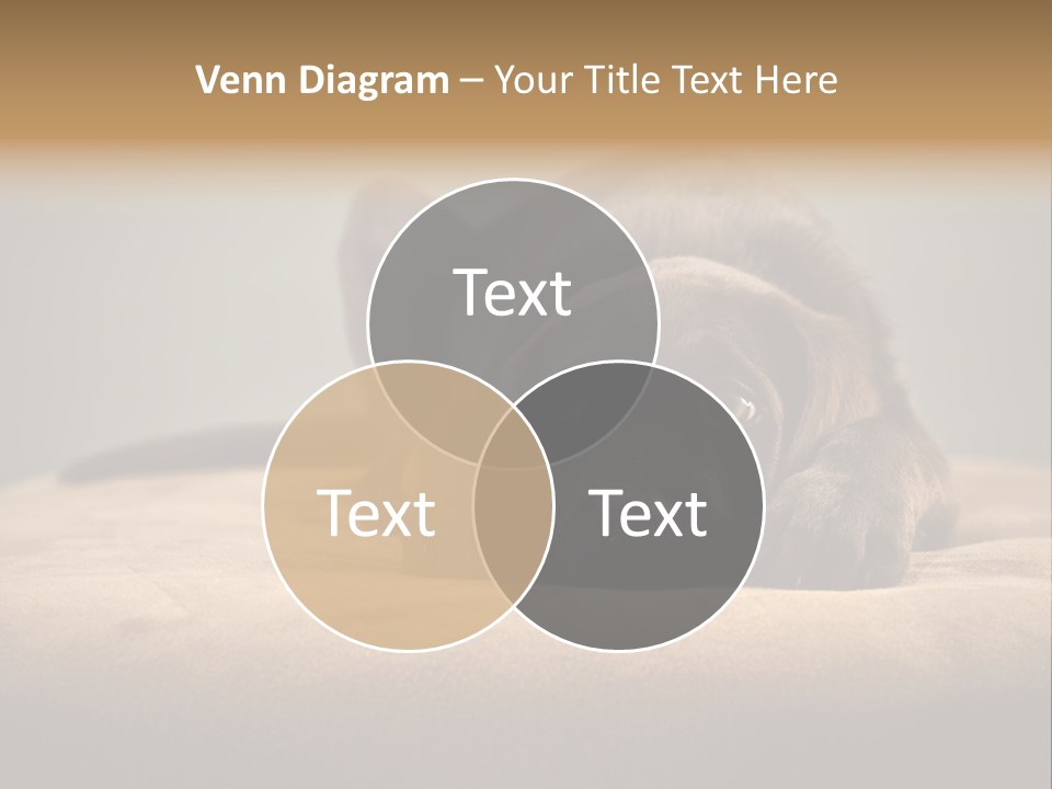 Blocking Cute Comical PowerPoint Template