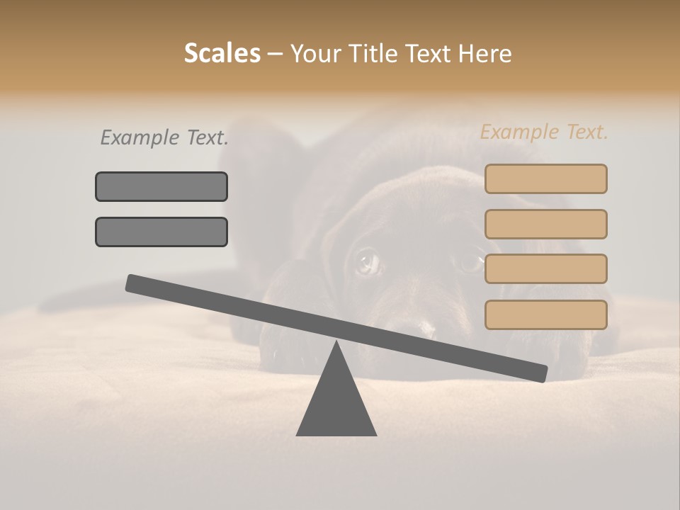 Blocking Cute Comical PowerPoint Template