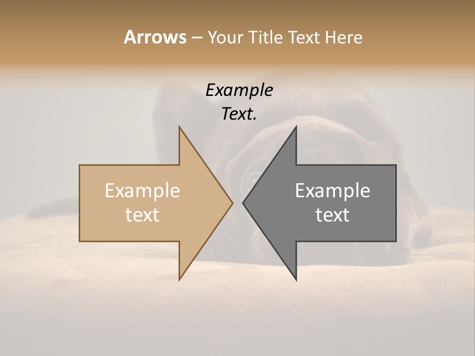 Blocking Cute Comical PowerPoint Template