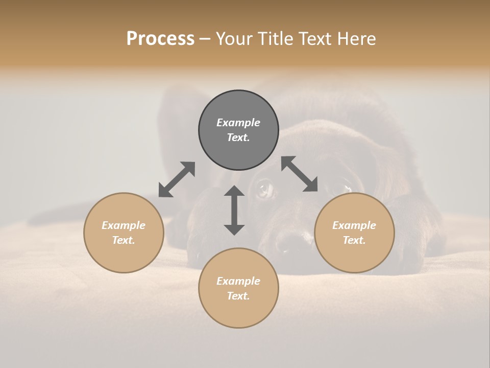 Blocking Cute Comical PowerPoint Template