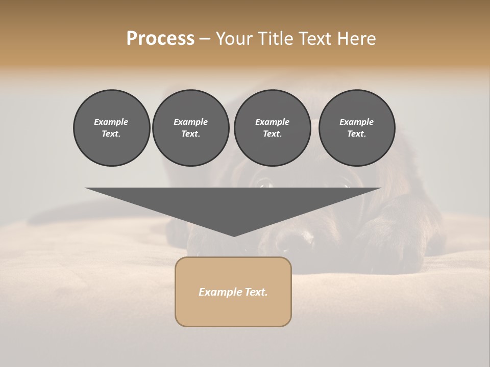 Blocking Cute Comical PowerPoint Template