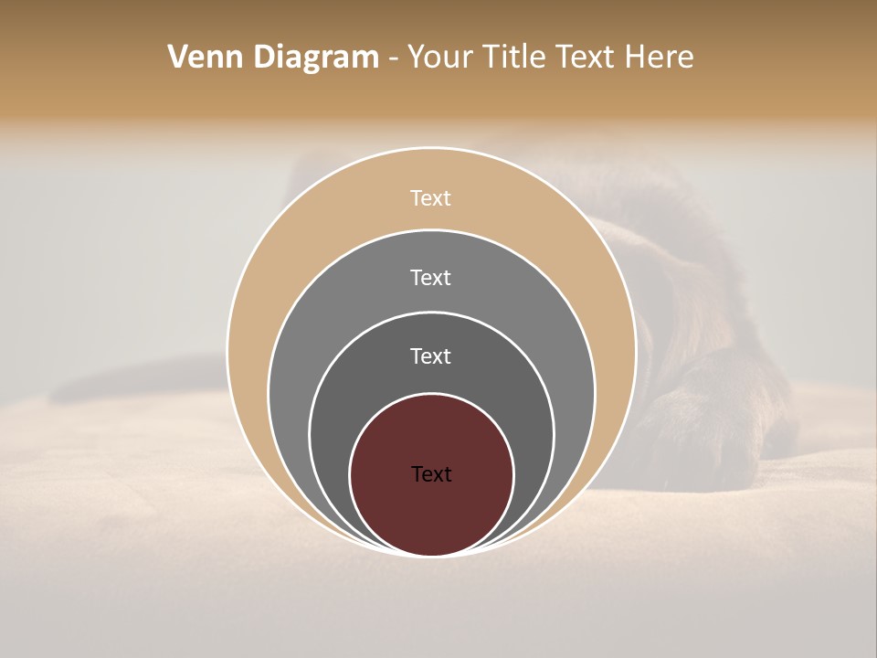 Blocking Cute Comical PowerPoint Template