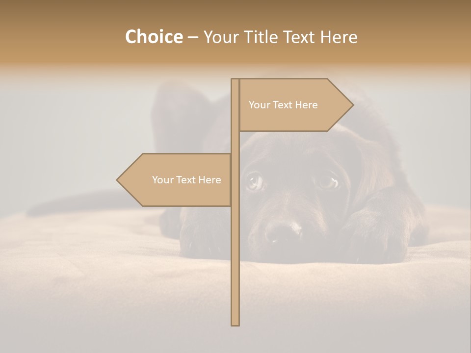 Blocking Cute Comical PowerPoint Template