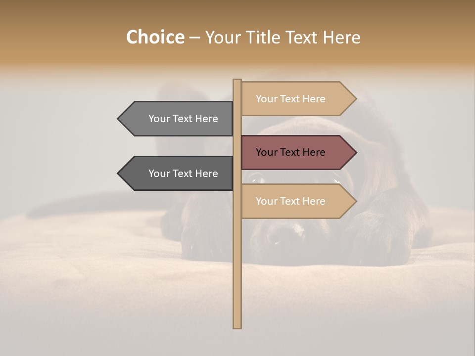 Blocking Cute Comical PowerPoint Template