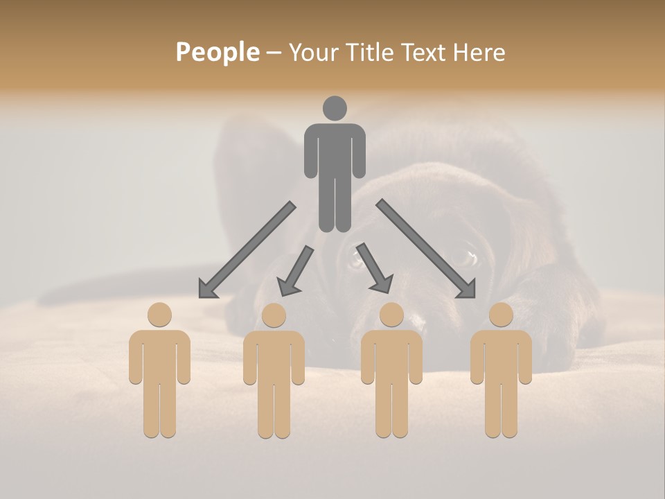 Blocking Cute Comical PowerPoint Template