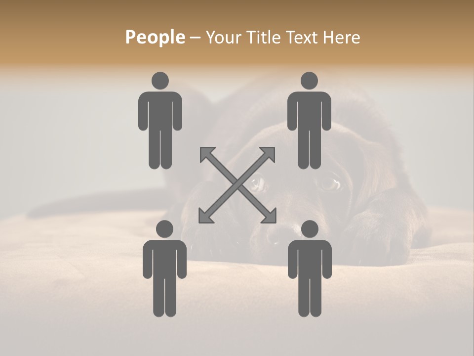 Blocking Cute Comical PowerPoint Template