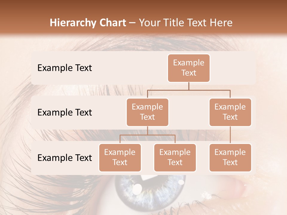 Eye Vision Young PowerPoint Template