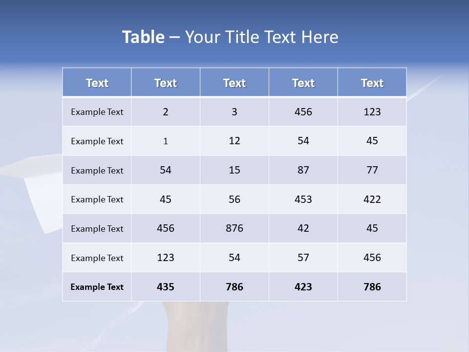 Person Aircraft Business PowerPoint Template