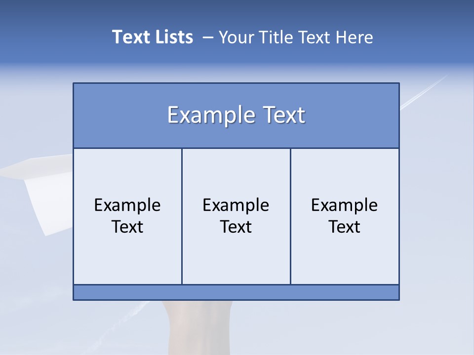 Person Aircraft Business PowerPoint Template