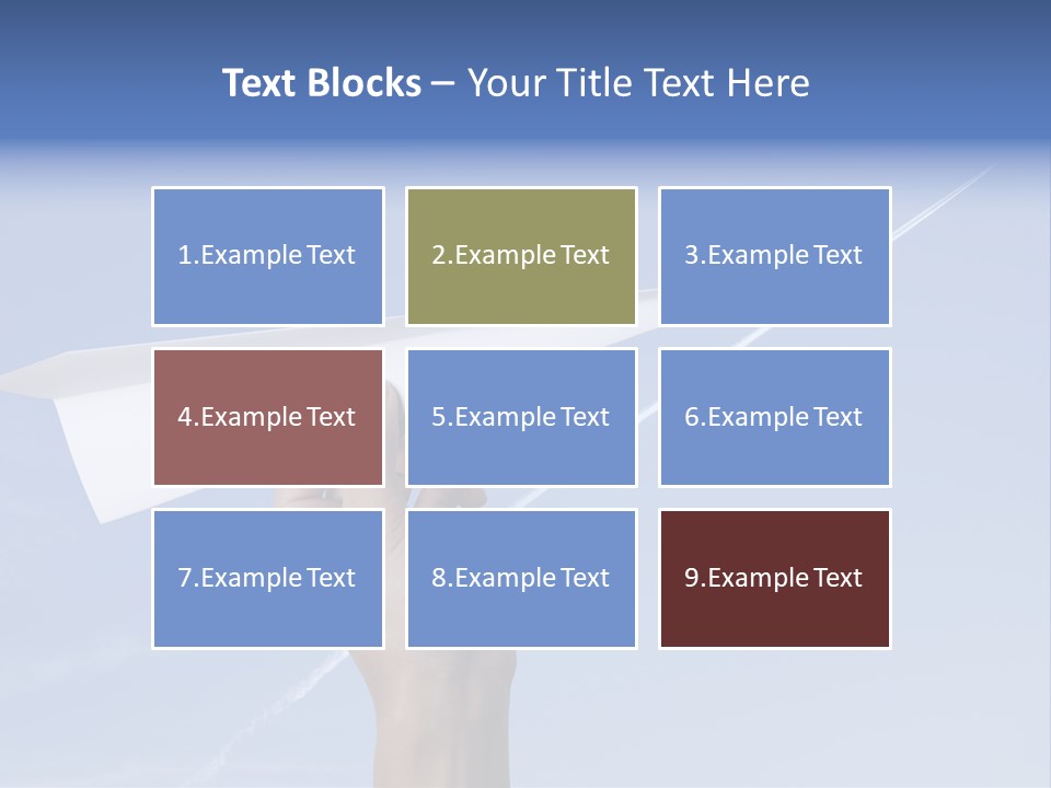 Person Aircraft Business PowerPoint Template