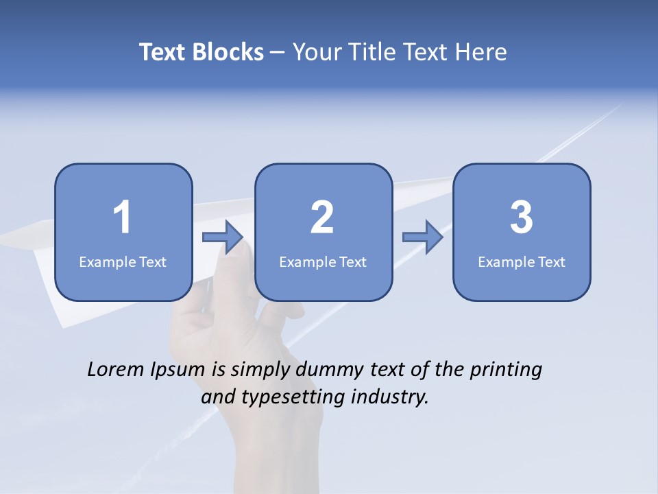 Person Aircraft Business PowerPoint Template