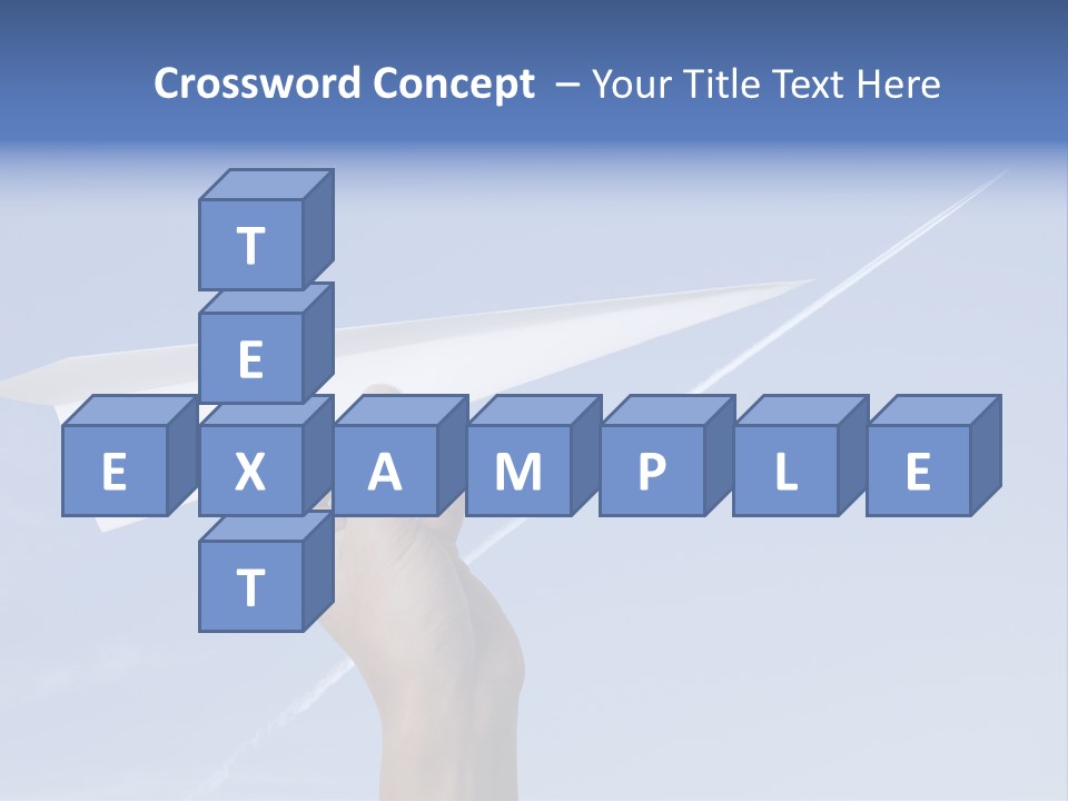 Person Aircraft Business PowerPoint Template