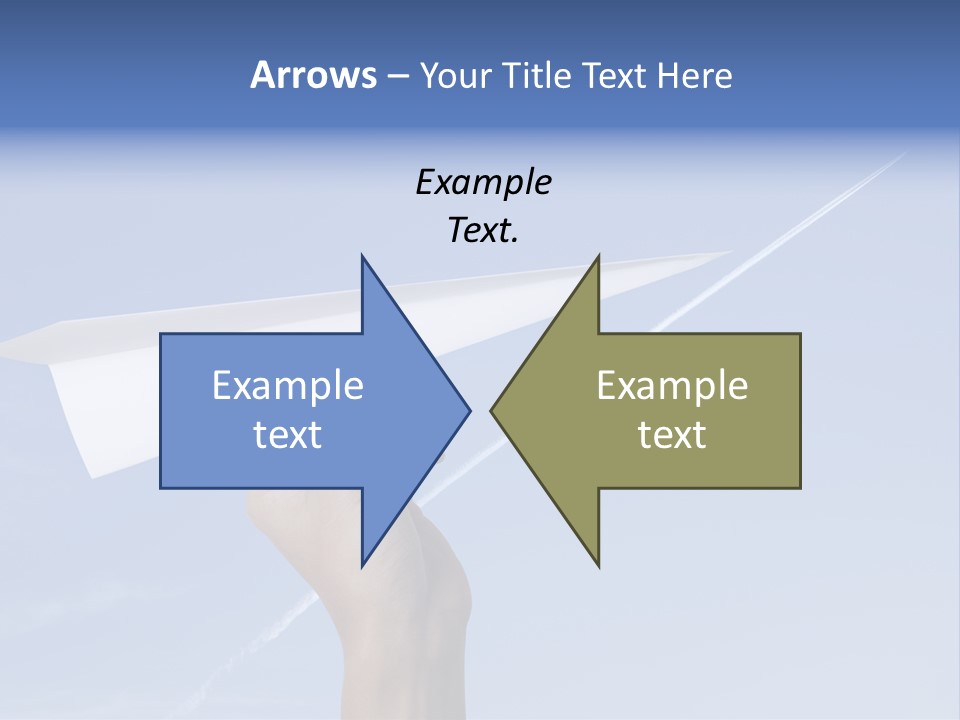 Person Aircraft Business PowerPoint Template