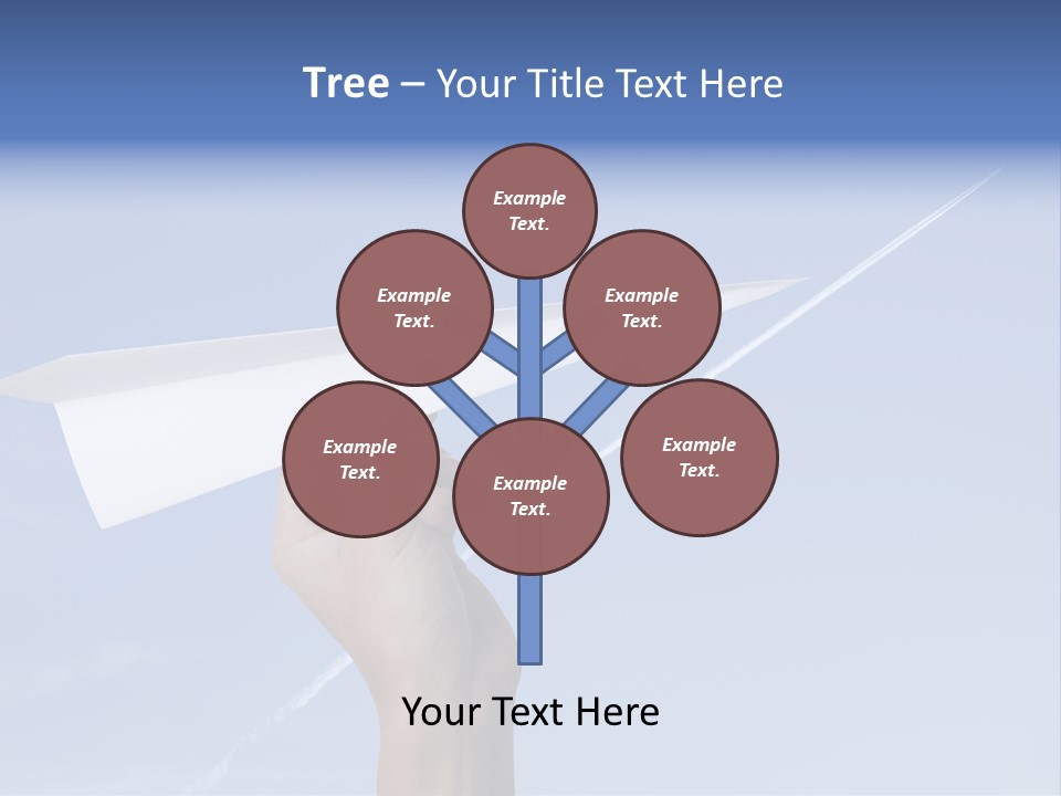 Person Aircraft Business PowerPoint Template
