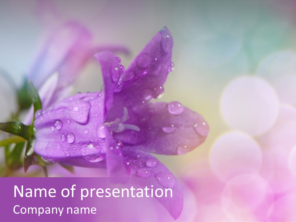 Growth Indoors Flora PowerPoint Template