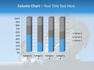 Eyes Cemetery Statue PowerPoint Template