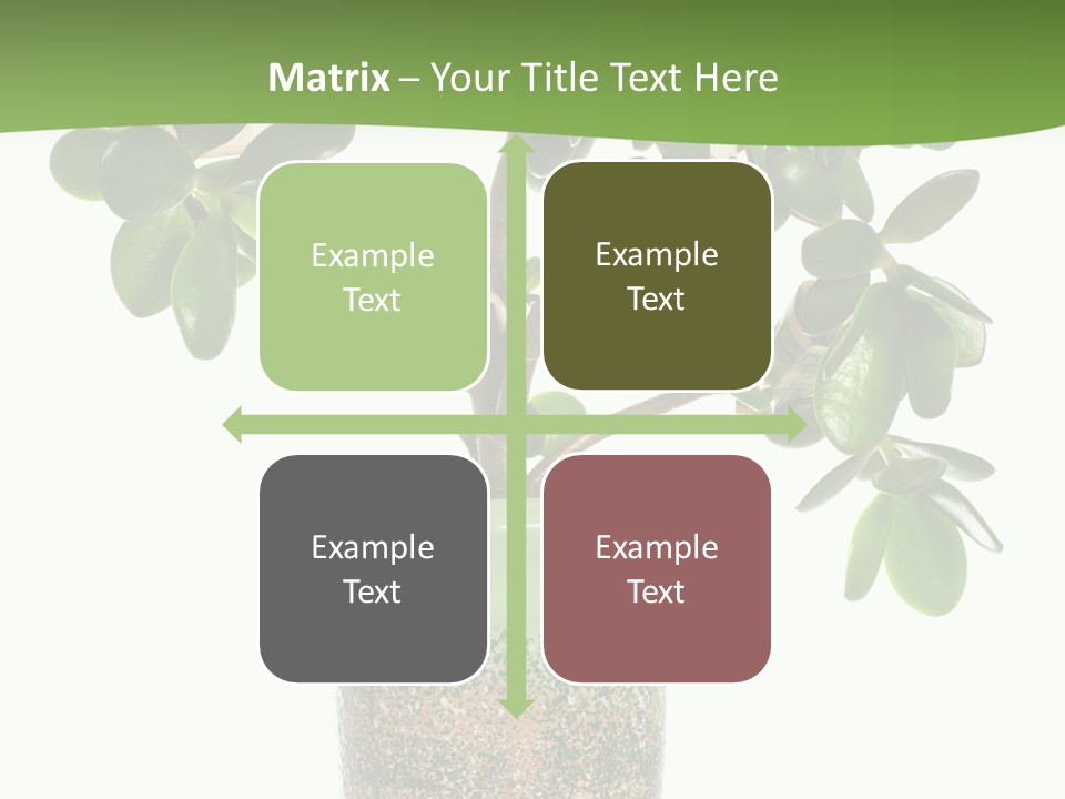 Green Nature Isolated PowerPoint Template