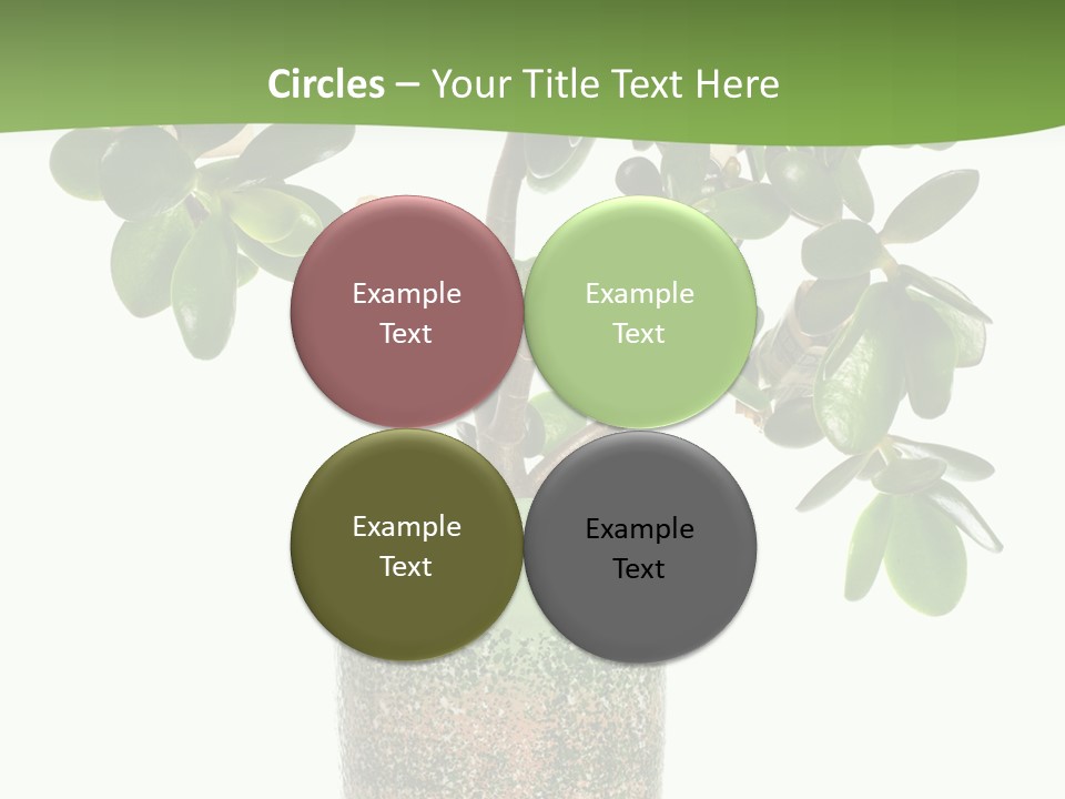 Green Nature Isolated PowerPoint Template