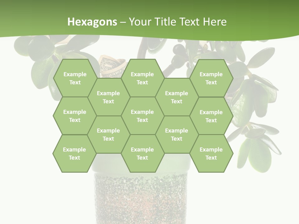 Green Nature Isolated PowerPoint Template