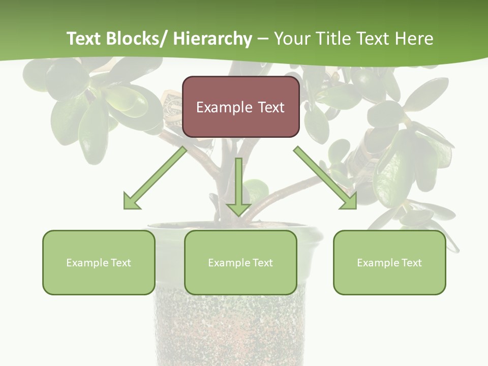 Green Nature Isolated PowerPoint Template