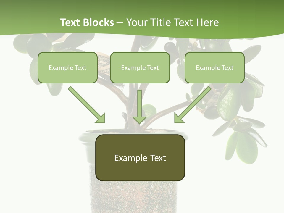 Green Nature Isolated PowerPoint Template
