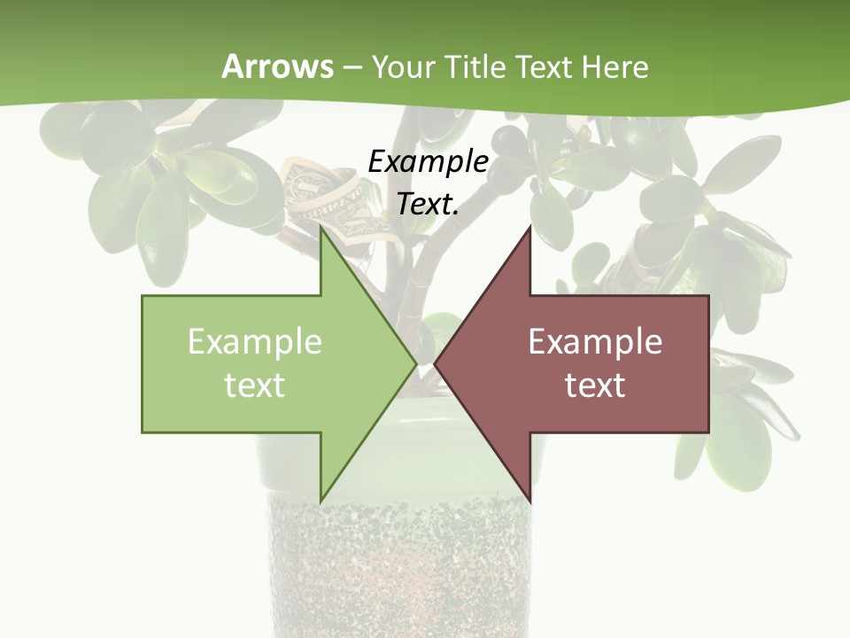 Green Nature Isolated PowerPoint Template