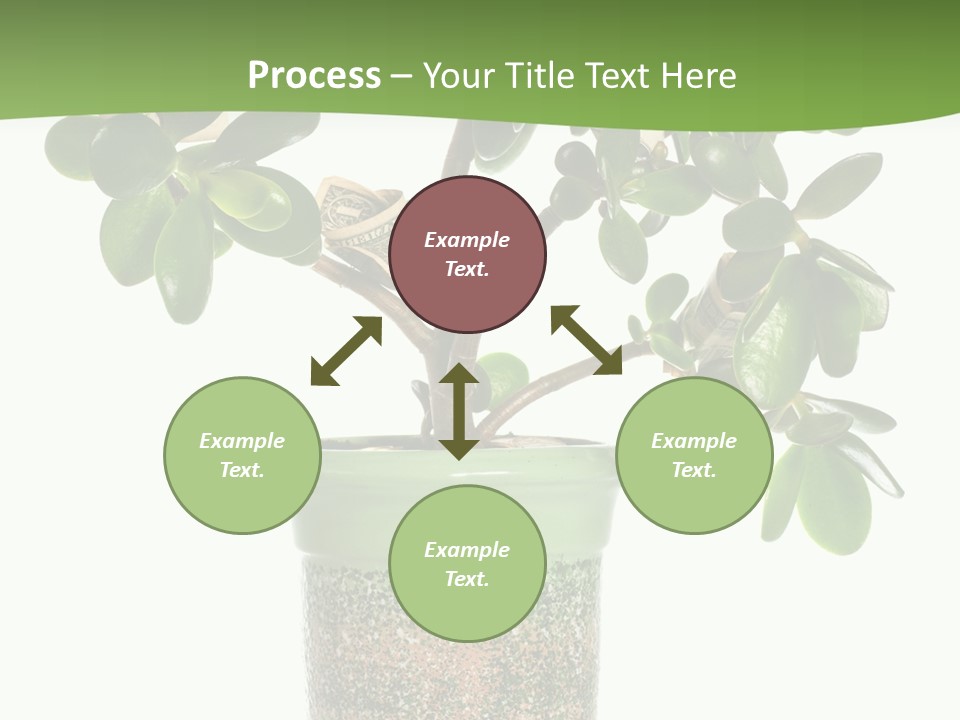 Green Nature Isolated PowerPoint Template