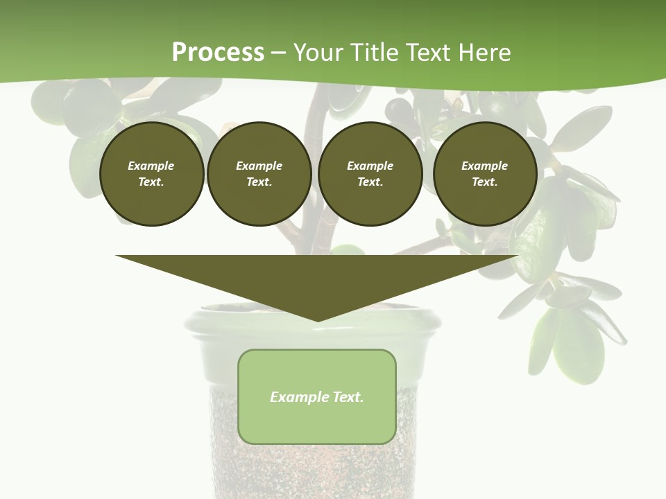 Green Nature Isolated PowerPoint Template