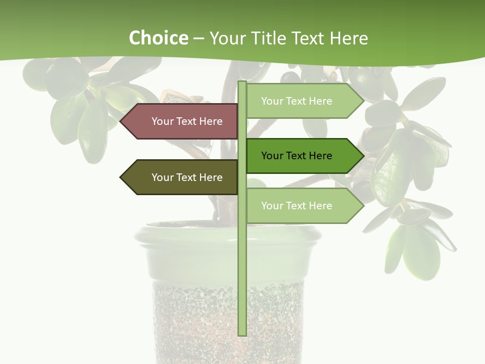 Green Nature Isolated PowerPoint Template
