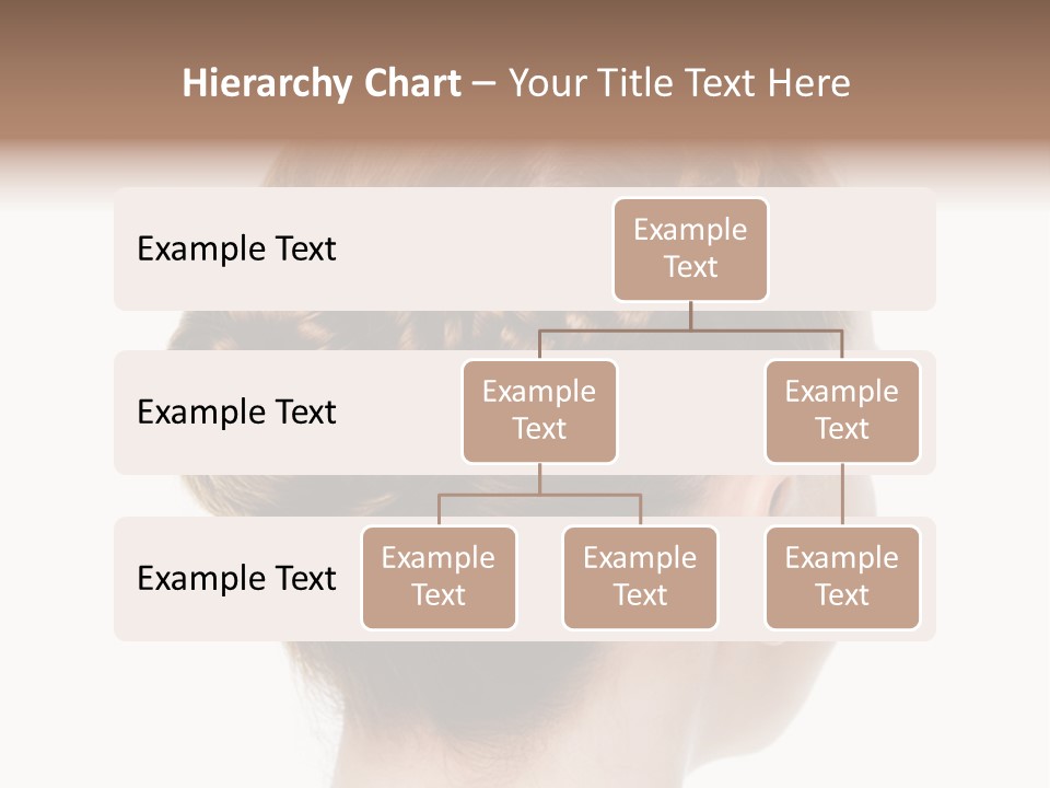 Hairstyle Hair Female PowerPoint Template