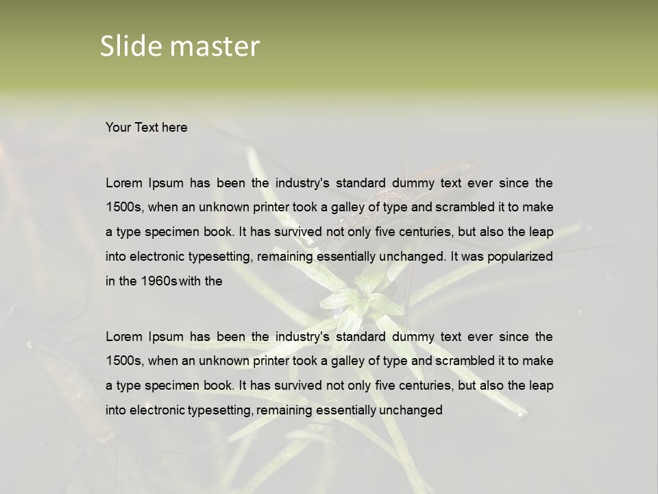 Gerris Common Surface PowerPoint Template