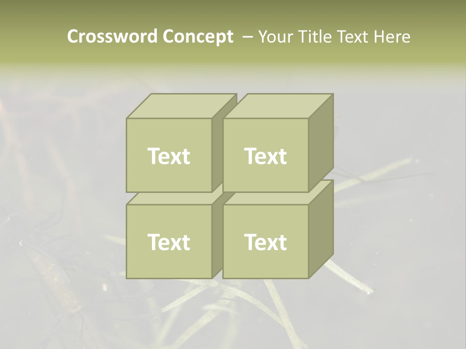 Gerris Common Surface PowerPoint Template