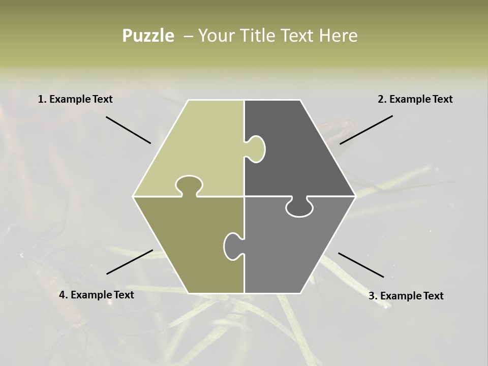 Gerris Common Surface PowerPoint Template