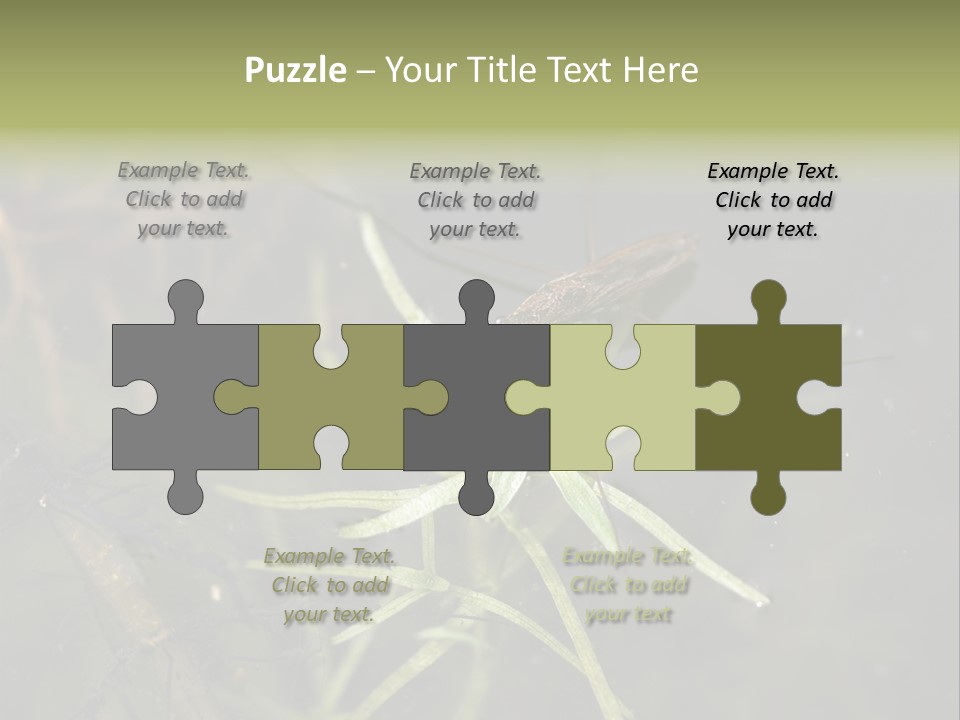 Gerris Common Surface PowerPoint Template