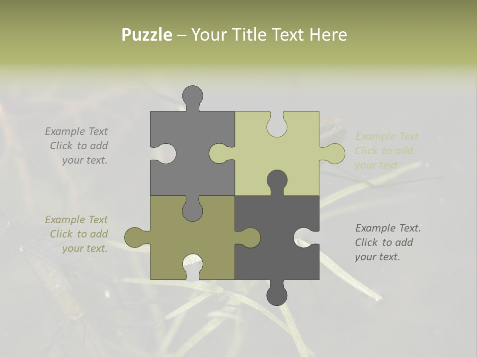 Gerris Common Surface PowerPoint Template