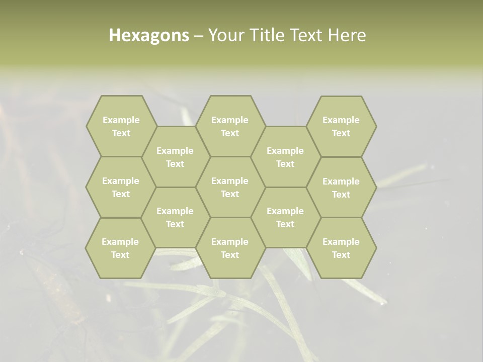 Gerris Common Surface PowerPoint Template