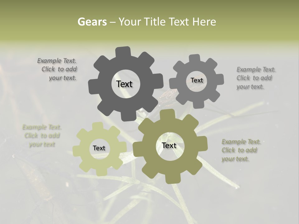 Gerris Common Surface PowerPoint Template