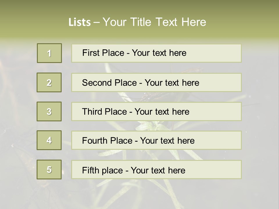 Gerris Common Surface PowerPoint Template