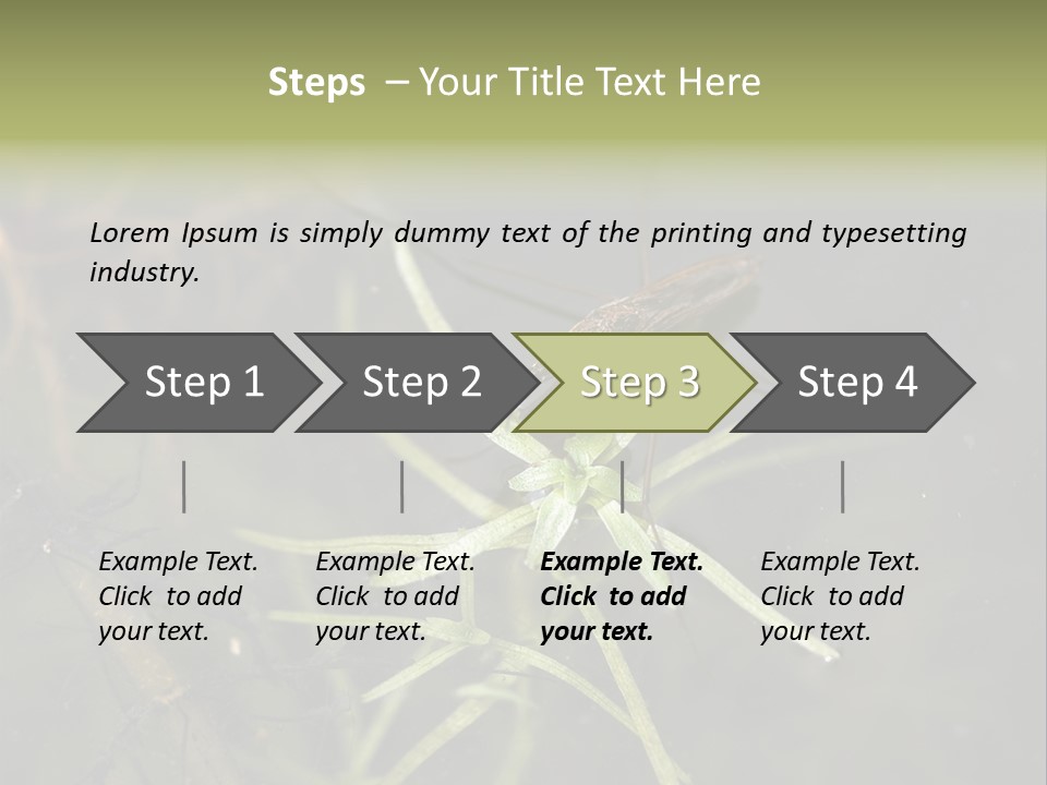Gerris Common Surface PowerPoint Template