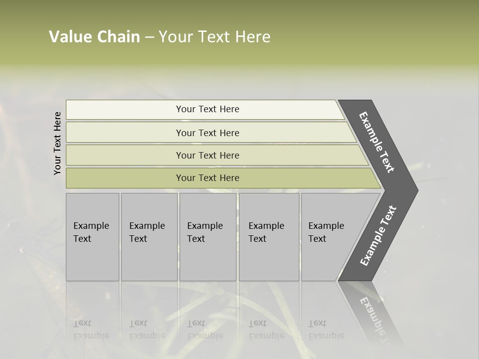 Gerris Common Surface PowerPoint Template