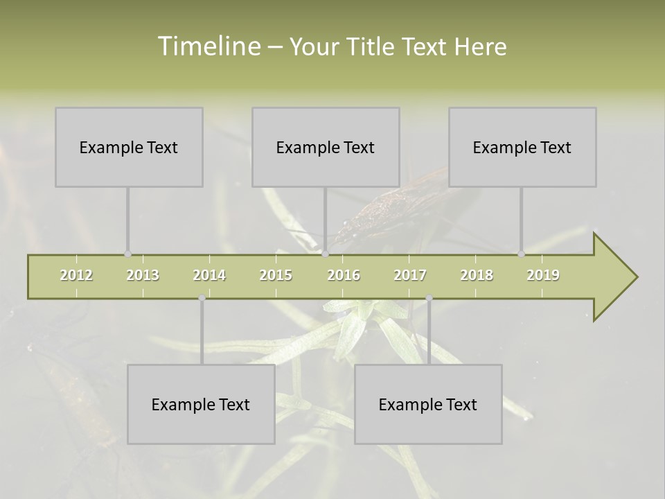 Gerris Common Surface PowerPoint Template