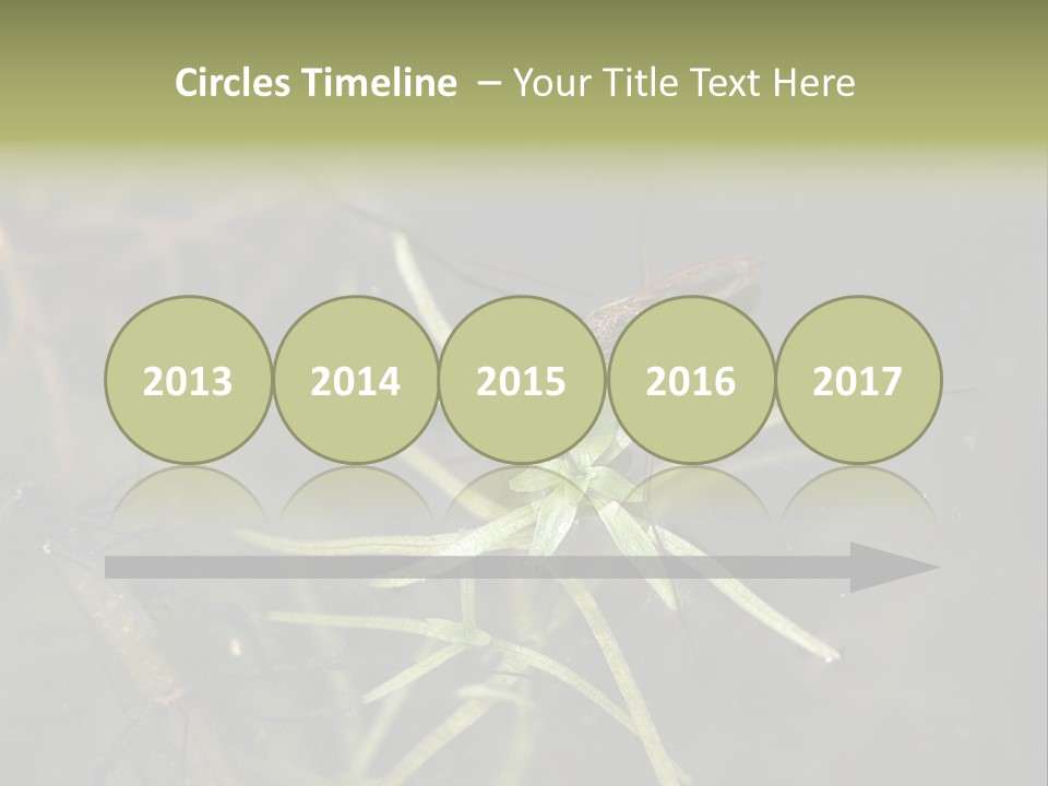 Gerris Common Surface PowerPoint Template