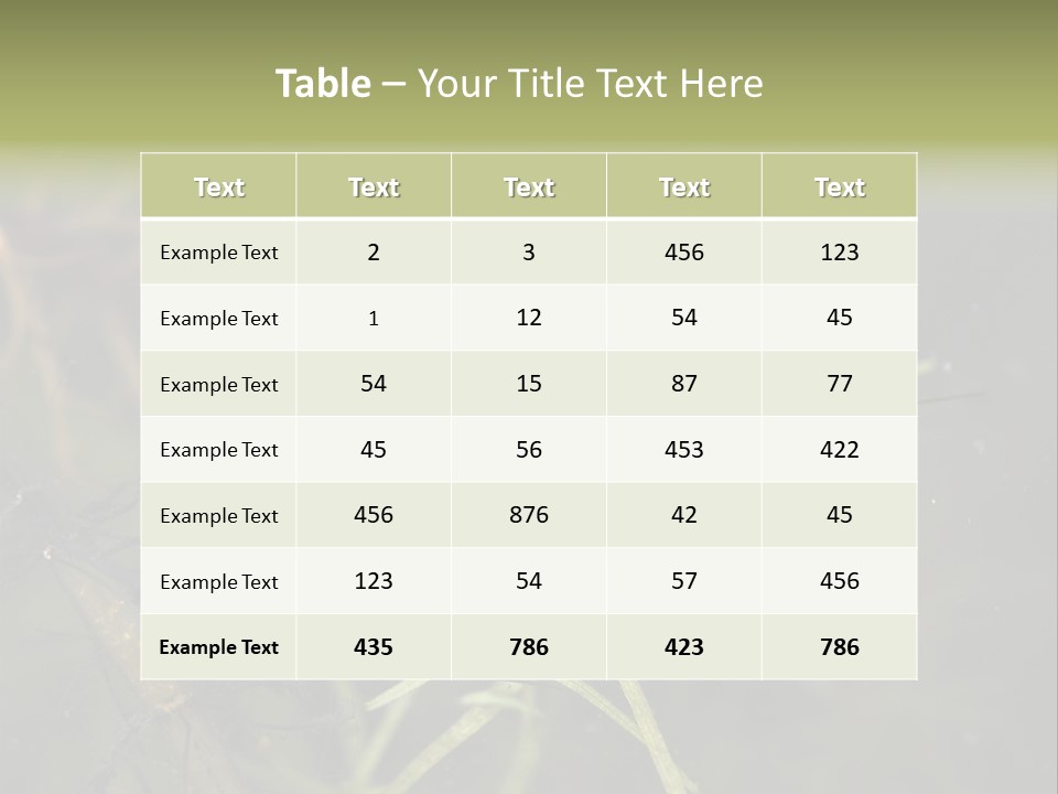 Gerris Common Surface PowerPoint Template