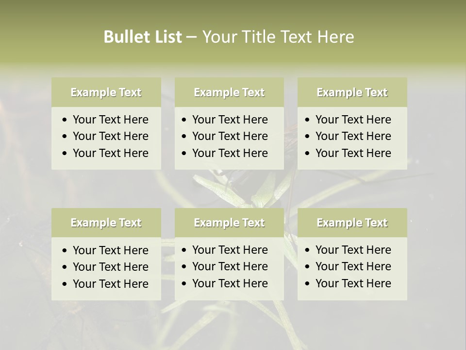 Gerris Common Surface PowerPoint Template
