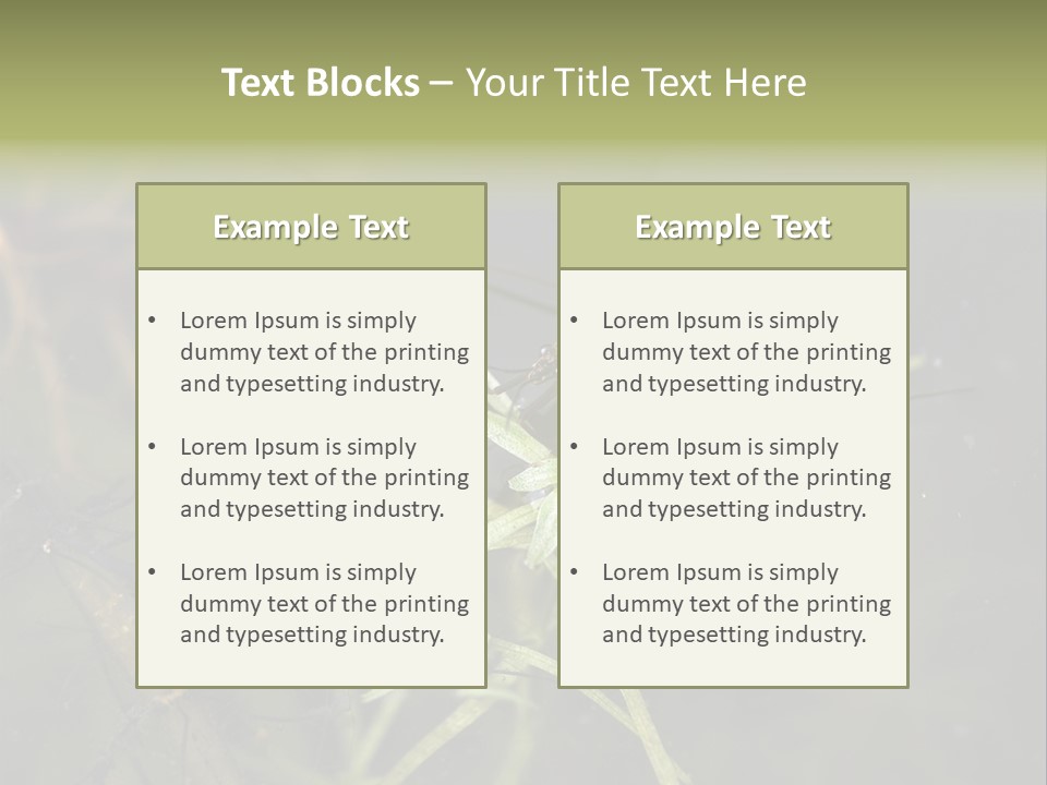 Gerris Common Surface PowerPoint Template