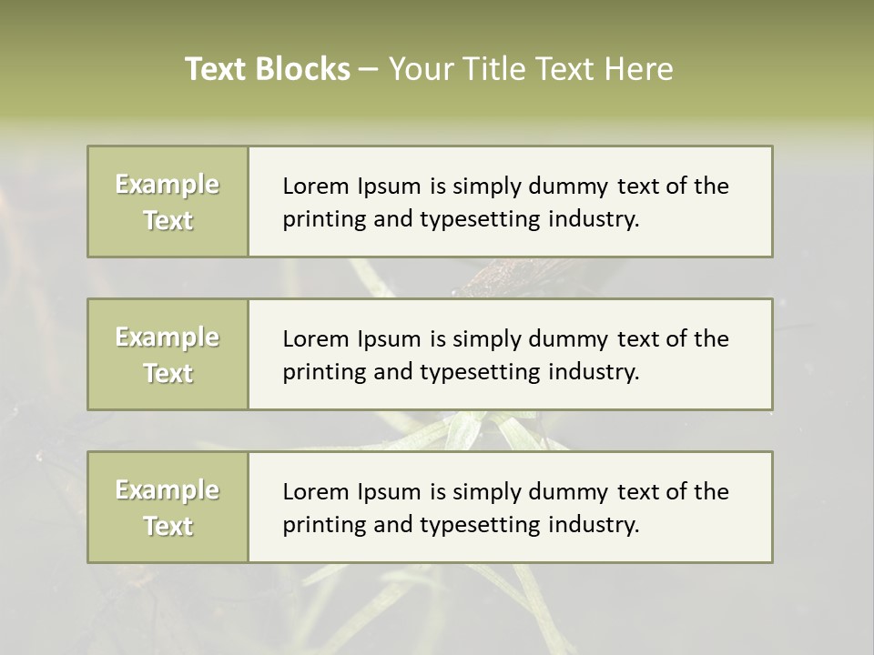 Gerris Common Surface PowerPoint Template