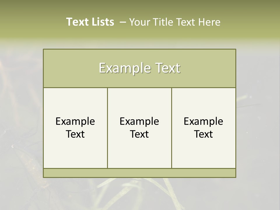 Gerris Common Surface PowerPoint Template