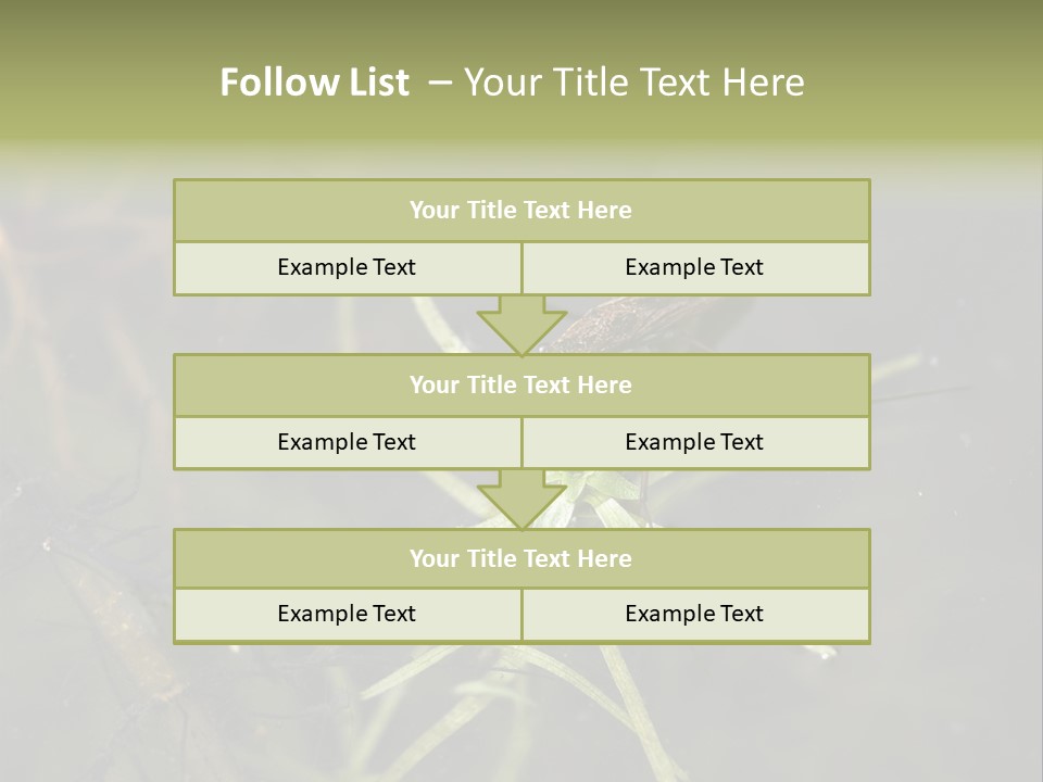 Gerris Common Surface PowerPoint Template
