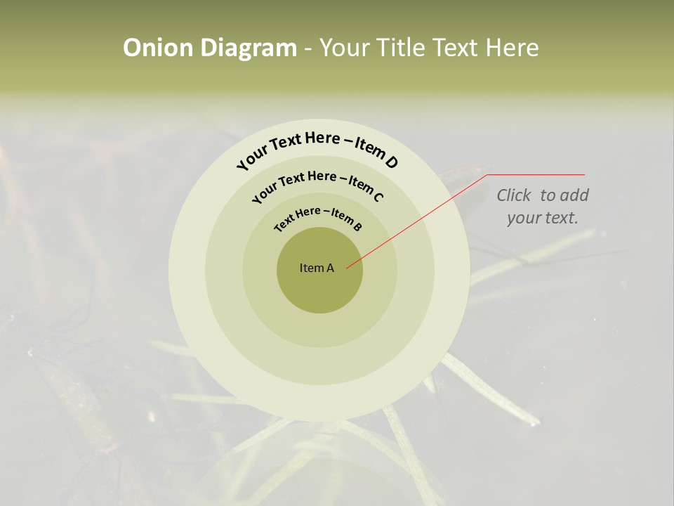 Gerris Common Surface PowerPoint Template