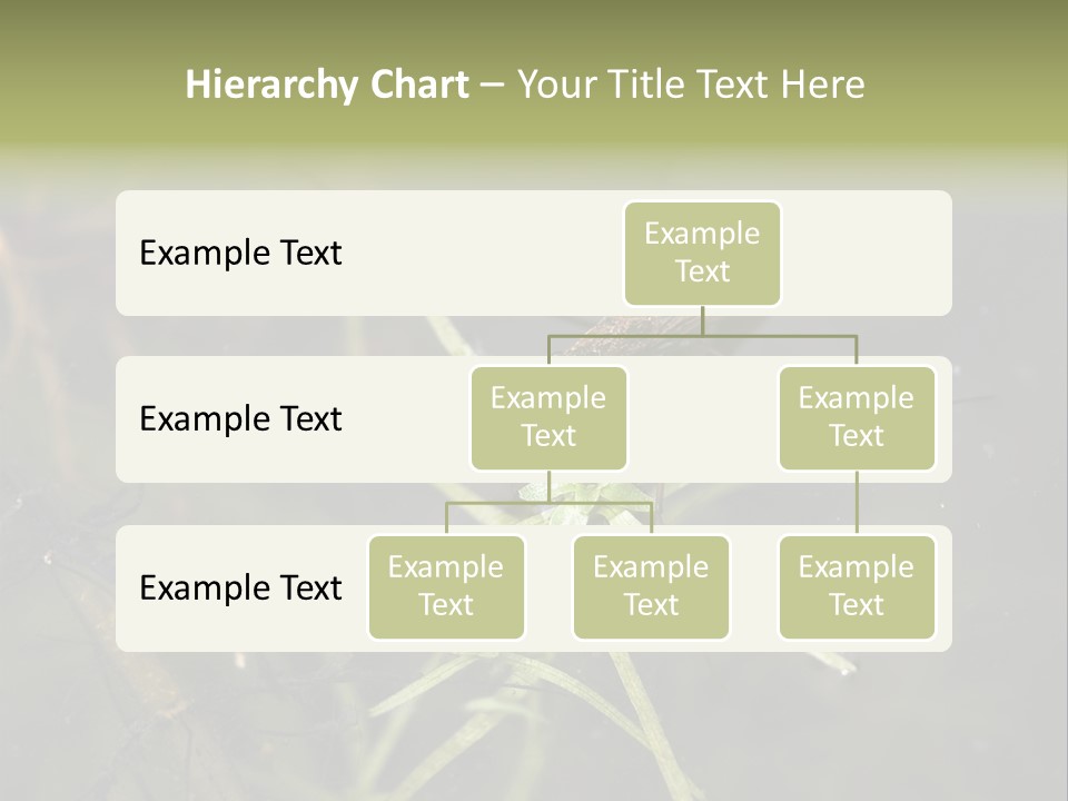 Gerris Common Surface PowerPoint Template
